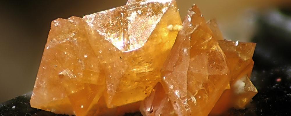 Photo: Christian Rewitzer/Wikimedia Commons