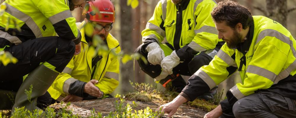 Endomines geologists during exploration work. The global gold price has risen to record levels in recent years, increasing the value of newly discovered deposits. Photo: Endomines.