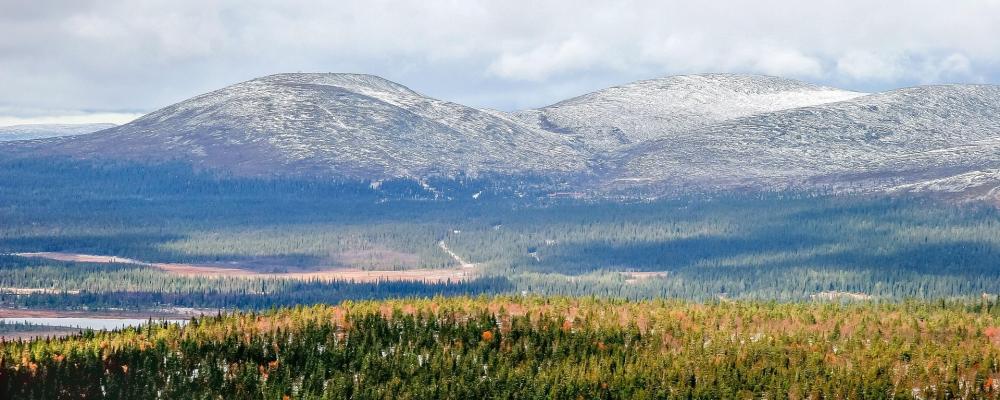 Gold exploration activity in Finnish Lapland is increasing. The Ikkari deposit, discovered in 2020, is now being evaluated ahead of a possible mine development. Symbol image: Pixabay, credit: LtapsaH.
