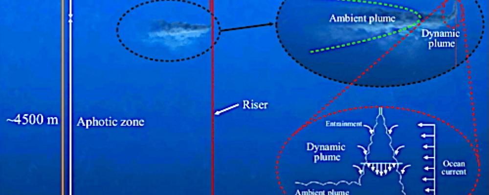 Schematic of a polymetallic nodule mining operation. From top to bottom, the three zoom-in panels illustrate the surface operation vessel, the midwater sediment plume, and the nodule collector operating on the seabed. The midwater plume comprises two stages: (i) the dynamic plume, in which the sediment-laden discharge water rapidly descends and dilutes to a neutral buoyancy depth, and (ii) the subsequent ambient plume that is advected by the ocean current and subject to background turbulence and settling.[1]   Image: Wikipedia Commons, Kredit: Carlos Muñoz-Royo.