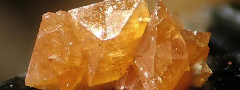 Photo: Christian Rewitzer/Wikimedia Commons