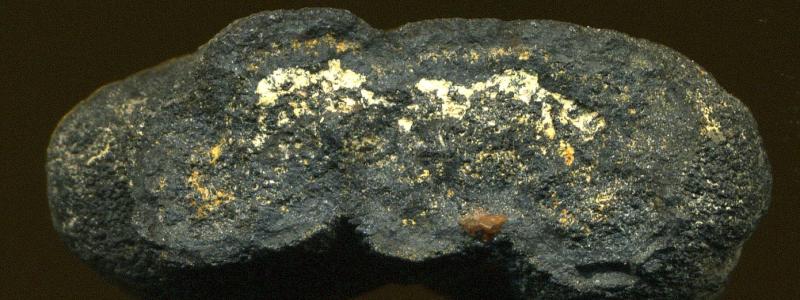An example of a manganese nodule that can be found on the sea floor. Foto: Wikipedia Common Lic, kredit: James St. John