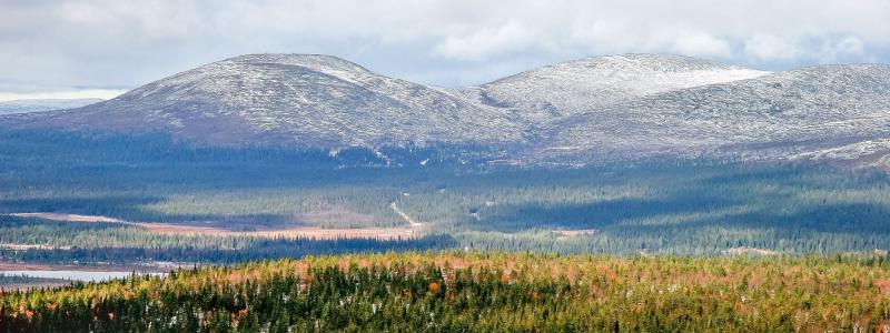 Gold exploration activity in Finnish Lapland is increasing. The Ikkari deposit, discovered in 2020, is now being evaluated ahead of a possible mine development. Symbol image: Pixabay, credit: LtapsaH.