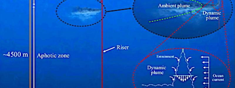 Schematic of a polymetallic nodule mining operation. From top to bottom, the three zoom-in panels illustrate the surface operation vessel, the midwater sediment plume, and the nodule collector operating on the seabed. The midwater plume comprises two stages: (i) the dynamic plume, in which the sediment-laden discharge water rapidly descends and dilutes to a neutral buoyancy depth, and (ii) the subsequent ambient plume that is advected by the ocean current and subject to background turbulence and settling.[1]   Image: Wikipedia Commons, Kredit: Carlos Muñoz-Royo.