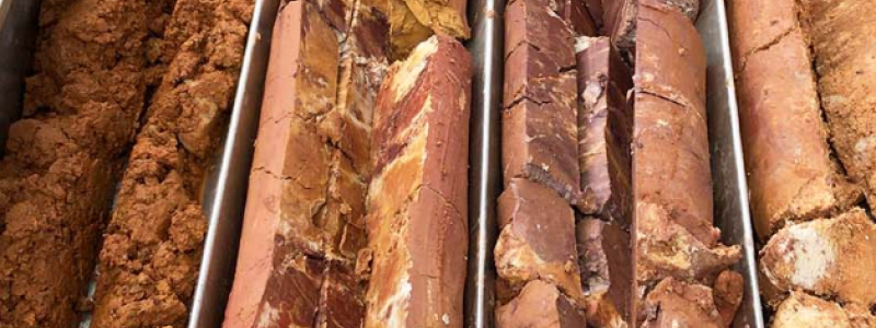 Photo: Ionic Rare Earths