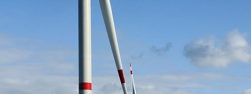 Photo: Hans Hillewaert/Wikimedia Commons