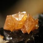 Photo: Christian Rewitzer/Wikimedia Commons