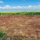 Site access works commence. Image: Access cleared for process plant, product storage, and monazite concentrate loading area. Photo: Lindian Resources Limited