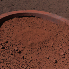 Ill: AI-generated image. Not a photograph. Copyright © Conventus– AI-generated content. None of the material may be reproduced or used in other contexts without written permission.