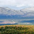 Gold exploration activity in Finnish Lapland is increasing. The Ikkari deposit, discovered in 2020, is now being evaluated ahead of a possible mine development. Symbol image: Pixabay, credit: LtapsaH.