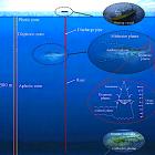 Schematic of a polymetallic nodule mining operation. From top to bottom, the three zoom-in panels illustrate the surface operation vessel, the midwater sediment plume, and the nodule collector operating on the seabed. The midwater plume comprises two stages: (i) the dynamic plume, in which the sediment-laden discharge water rapidly descends and dilutes to a neutral buoyancy depth, and (ii) the subsequent ambient plume that is advected by the ocean current and subject to background turbulence and settling.[1]   Image: Wikipedia Commons, Kredit: Carlos Muñoz-Royo.