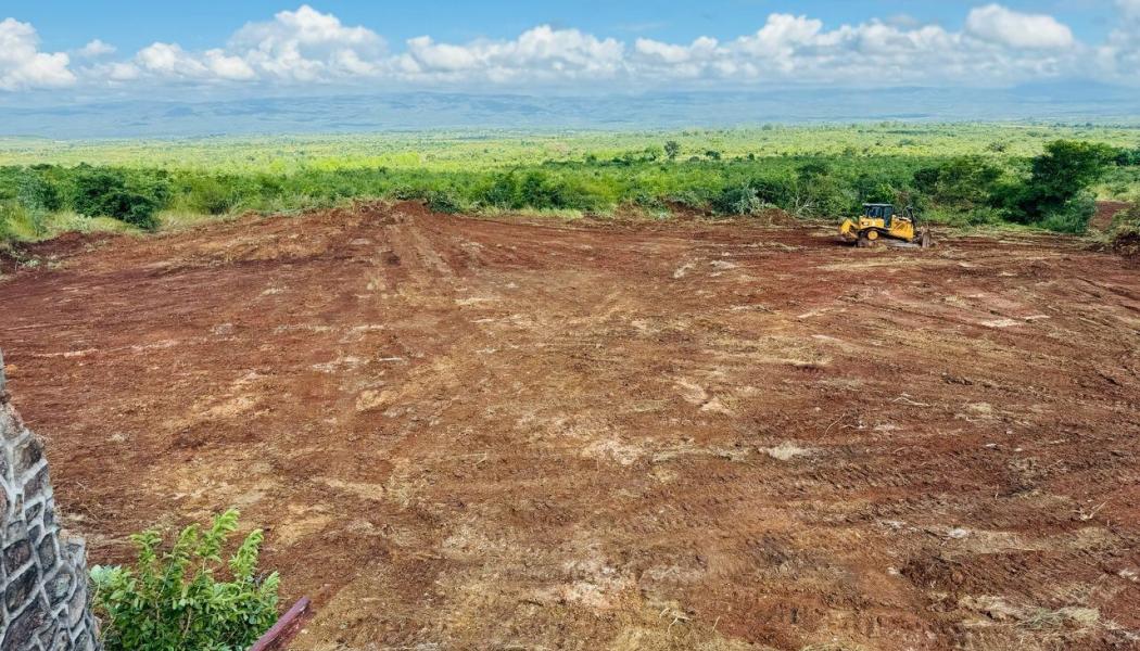Site access works commence. Image: Access cleared for process plant, product storage, and monazite concentrate loading area. Photo: Lindian Resources Limited



