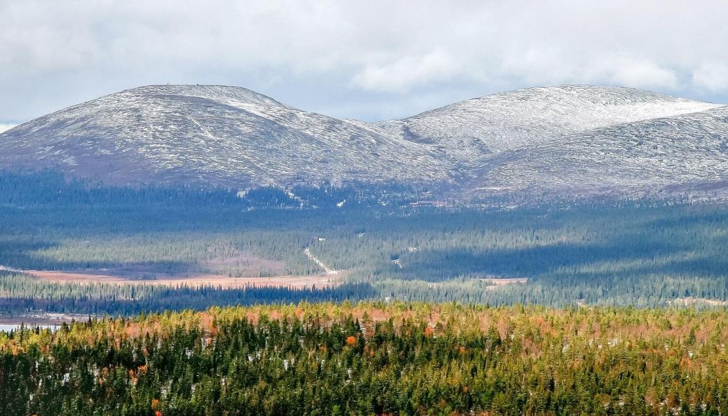 Australian engineering firm hired for major Finnish gold project