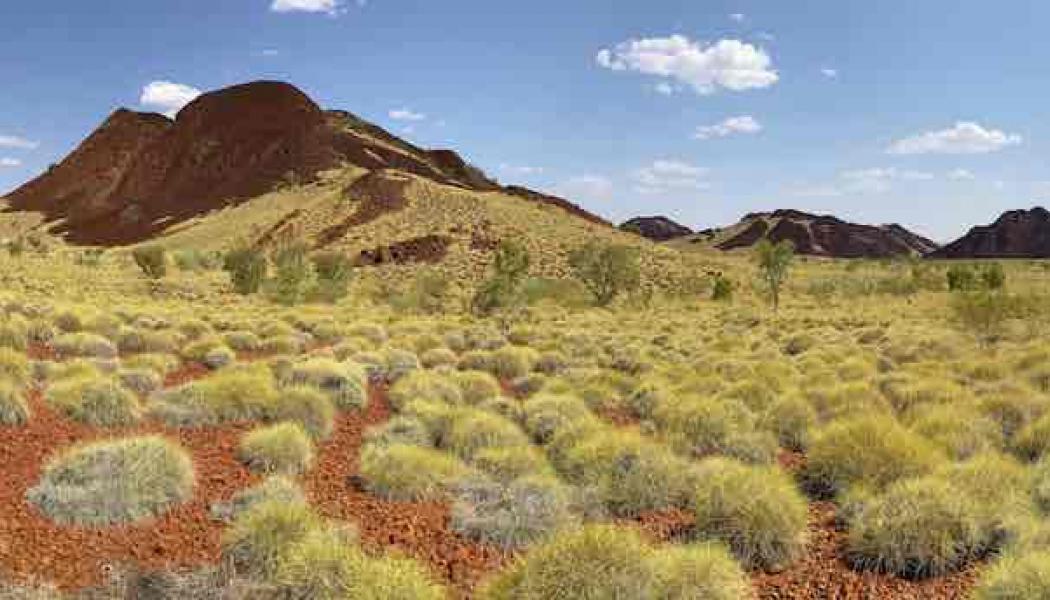 Photo: Novo Resources