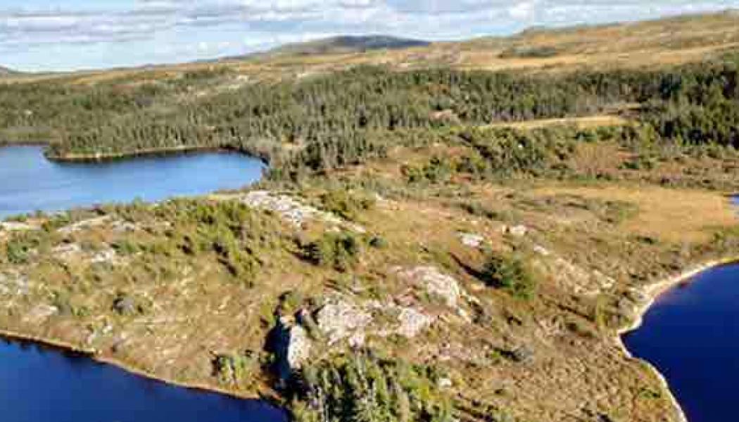 Photo: Burin Gold