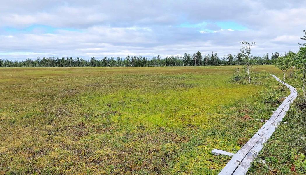 Finnish court halts exploration in protected Lapland area