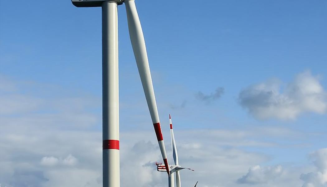 Photo: Hans Hillewaert/Wikimedia Commons