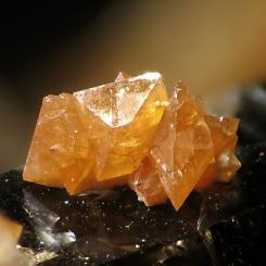 Photo: Christian Rewitzer/Wikimedia Commons