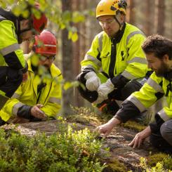 Endomines geologists during exploration work. The global gold price has risen to record levels in recent years, increasing the value of newly discovered deposits. Photo: Endomines.