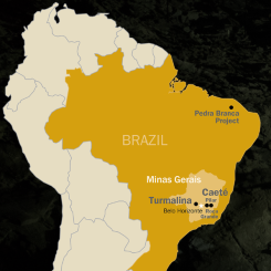 Map: Jaguar Mining