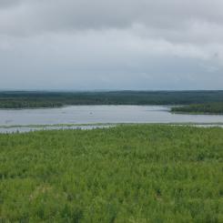 The Athabasca Basin hosts one of the world's richest high-grade uranium deposits. Photo: Konstantin von Gunten (Kvgunten)/Wikimedia Commons