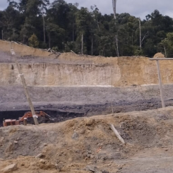 Indonesian holding is taking over local coal miner. Photo by Petrindo Jaya Kreasi