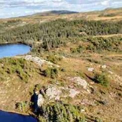 Photo: Burin Gold