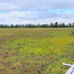 Viiankiaava is a roughly 6,500-hectare mire area near Sodankylä, protected under the EU Natura 2000 network. It hosts several endangered bird species, including the white-tailed eagle. AA Sakatti Mining plans an underground nickel, copper, and platinum mine in the area. Foto: Wikipedia Commons Lic. Kredit: TuomoS