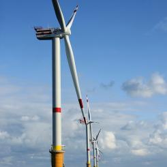 Photo: Hans Hillewaert/Wikimedia Commons