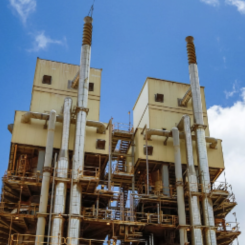 photo: Vale and Hydnum Steel